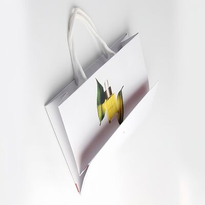 Surface Smooth Paper Gift Box Biodegradable Recycled Custom Luxury Paper Bags