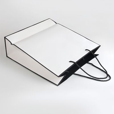 Surface Smooth Paper Gift Box Biodegradable Recycled Custom Luxury Paper Bags