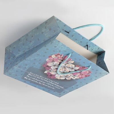 High End Custom Clothing Packaging Beauty Clothing Shopping Bag Lightweight