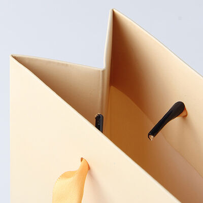 Recyclable Custom Clothing Packaging Eco Friendly Logo Printed Gift Bags