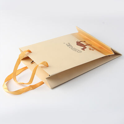 Recyclable Custom Clothing Packaging Eco Friendly Logo Printed Gift Bags